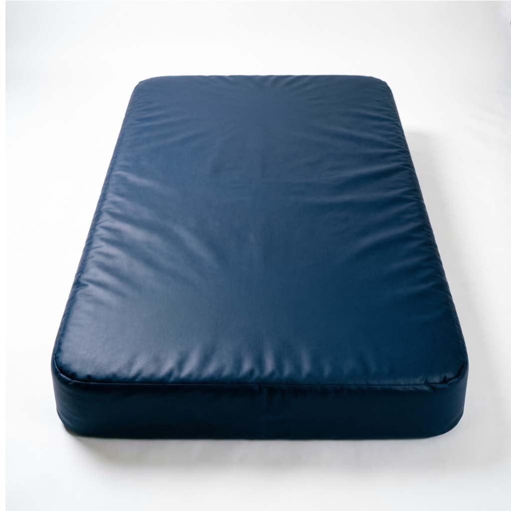 Sanitex-65 Prison Mattresses - Top View